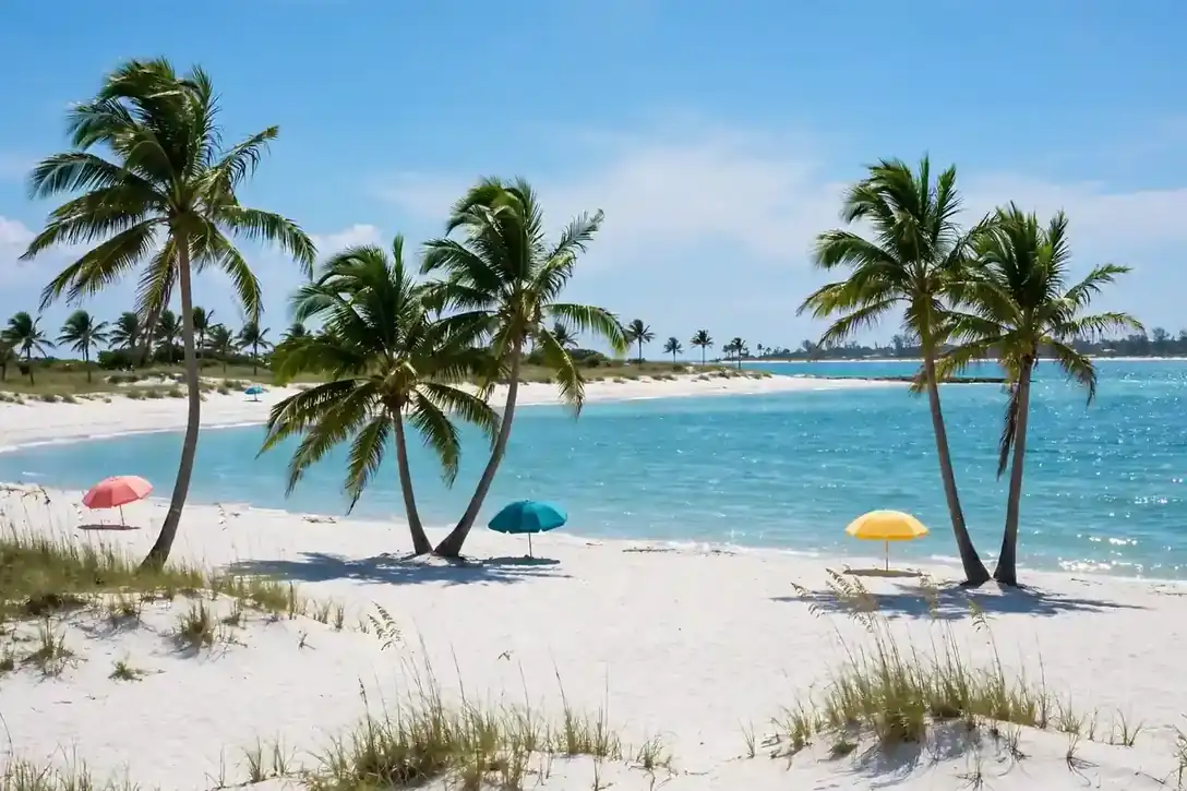 Tropical beach with palm trees and turquoise water in the USA